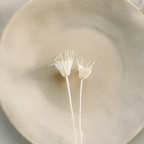 Чашка «Лесная глина», 200 мл